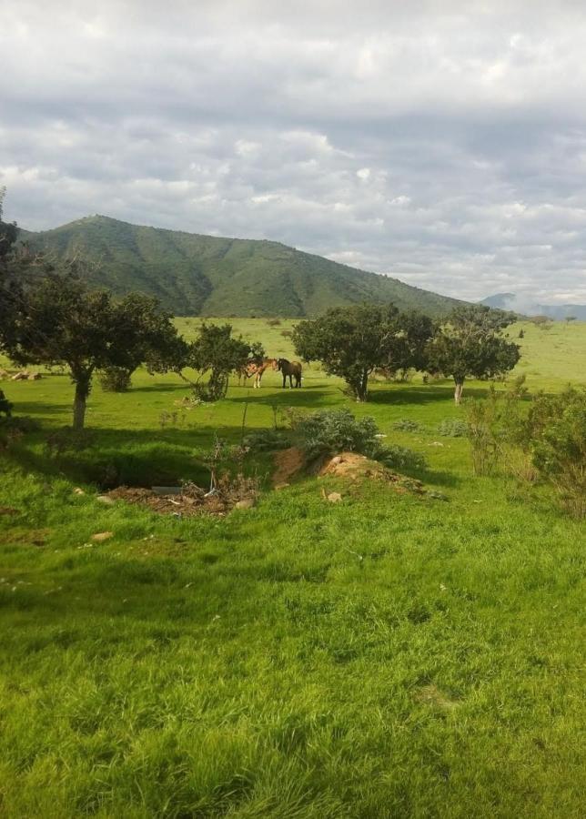 Ecologica Casa de férias