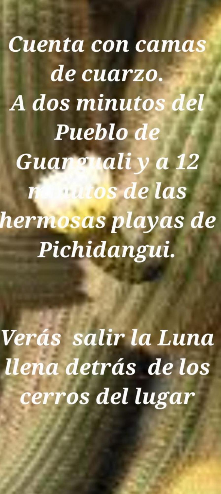 Ecologica * Guangualí